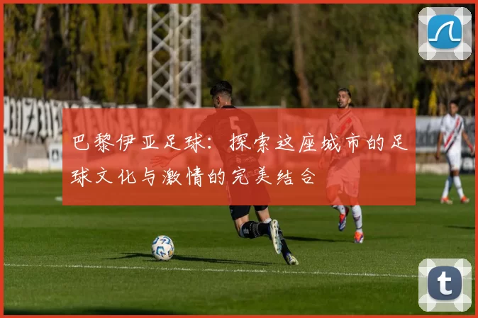巴黎伊亚足球：探索这座城市的足球文化与激情的完美结合