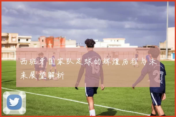 西班牙国家队足球的辉煌历程与未来展望解析