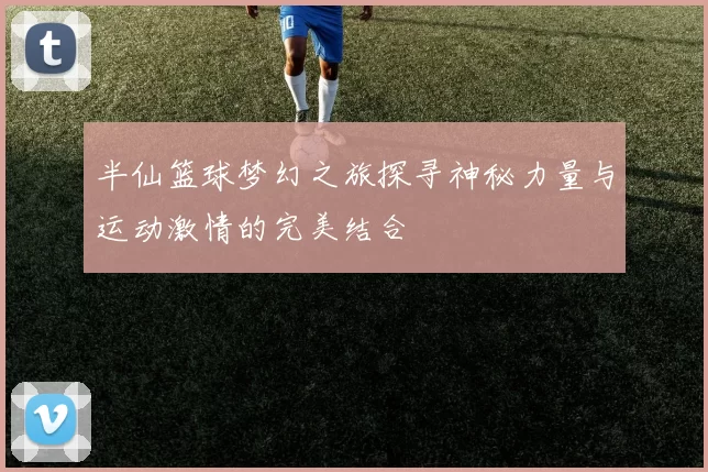 半仙篮球梦幻之旅探寻神秘力量与运动激情的完美结合