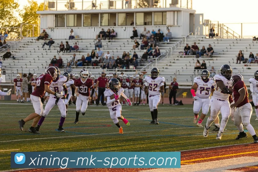 MK体育APP平台生态图